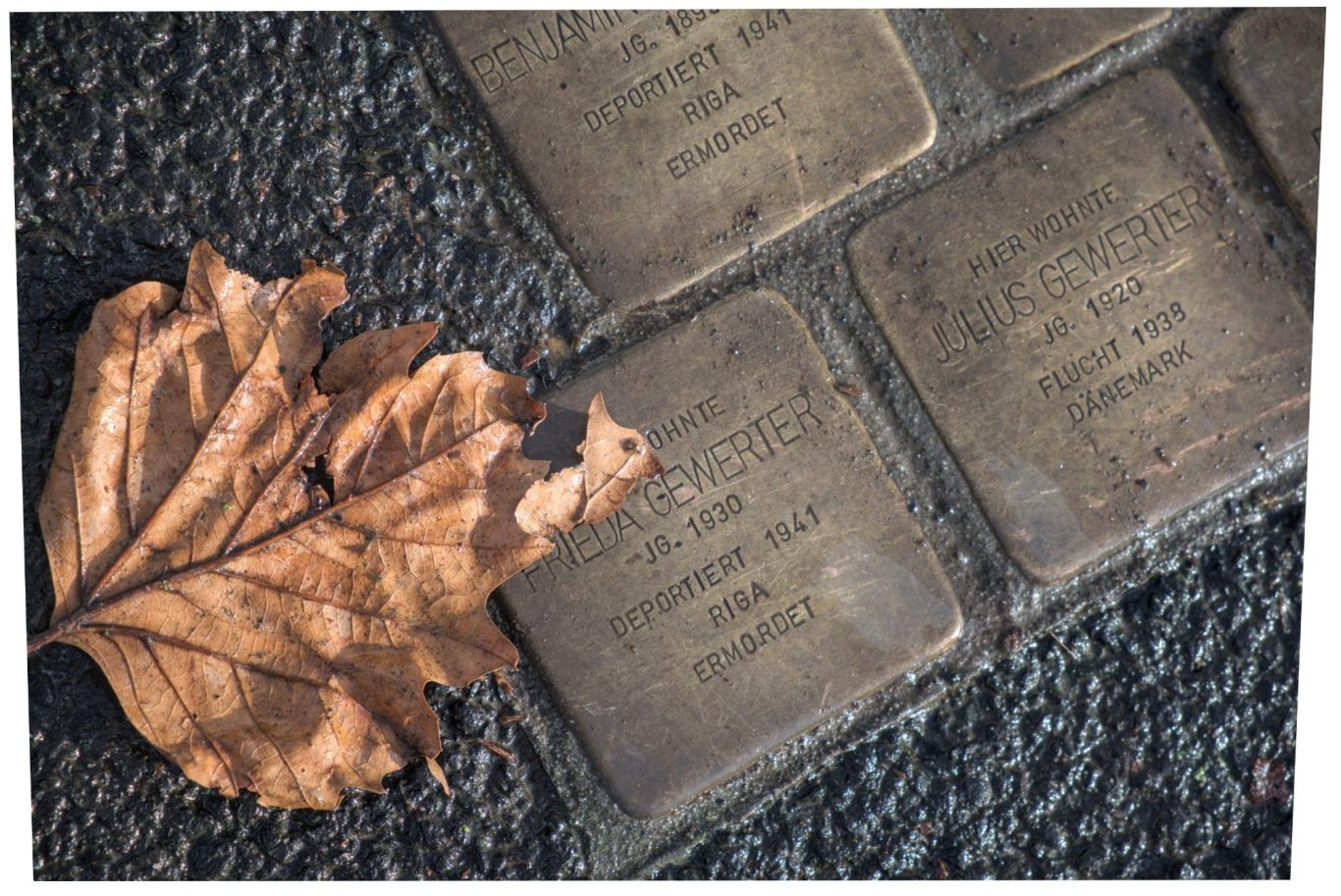 Erinnerungssteine mit einem Herbstblatt