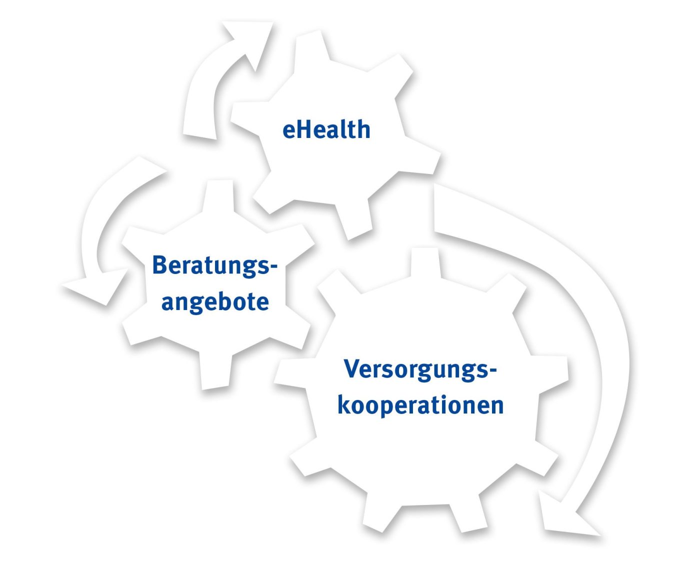 Das Konzept Knüll gesund | Grafik